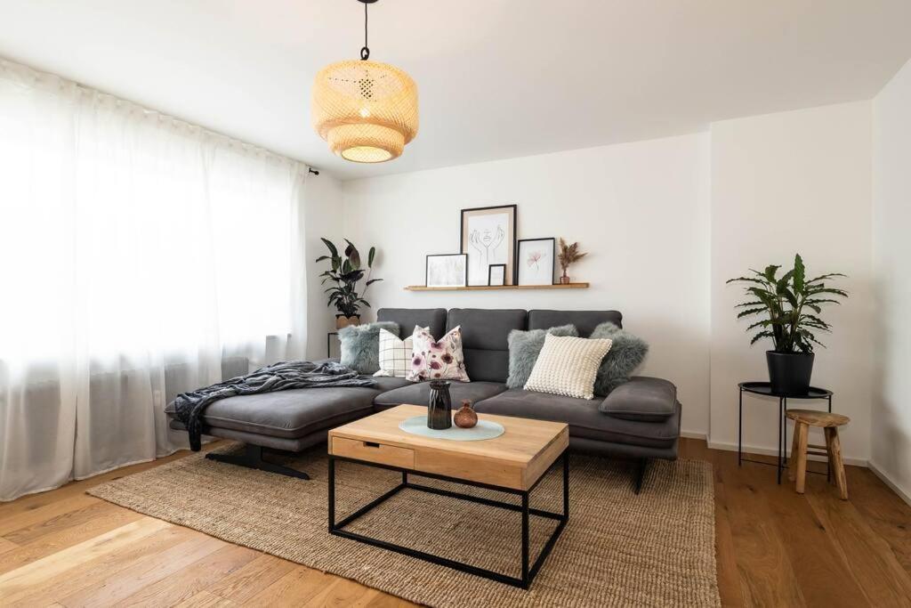 Luxury Apartment On The Rhein 부징겐엠호크리엔 외부 사진