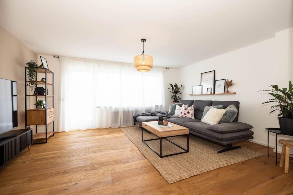 Luxury Apartment On The Rhein 부징겐엠호크리엔 외부 사진