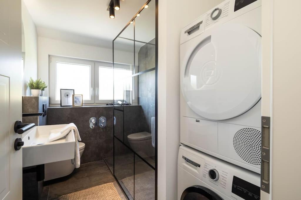 Luxury Apartment On The Rhein 부징겐엠호크리엔 외부 사진